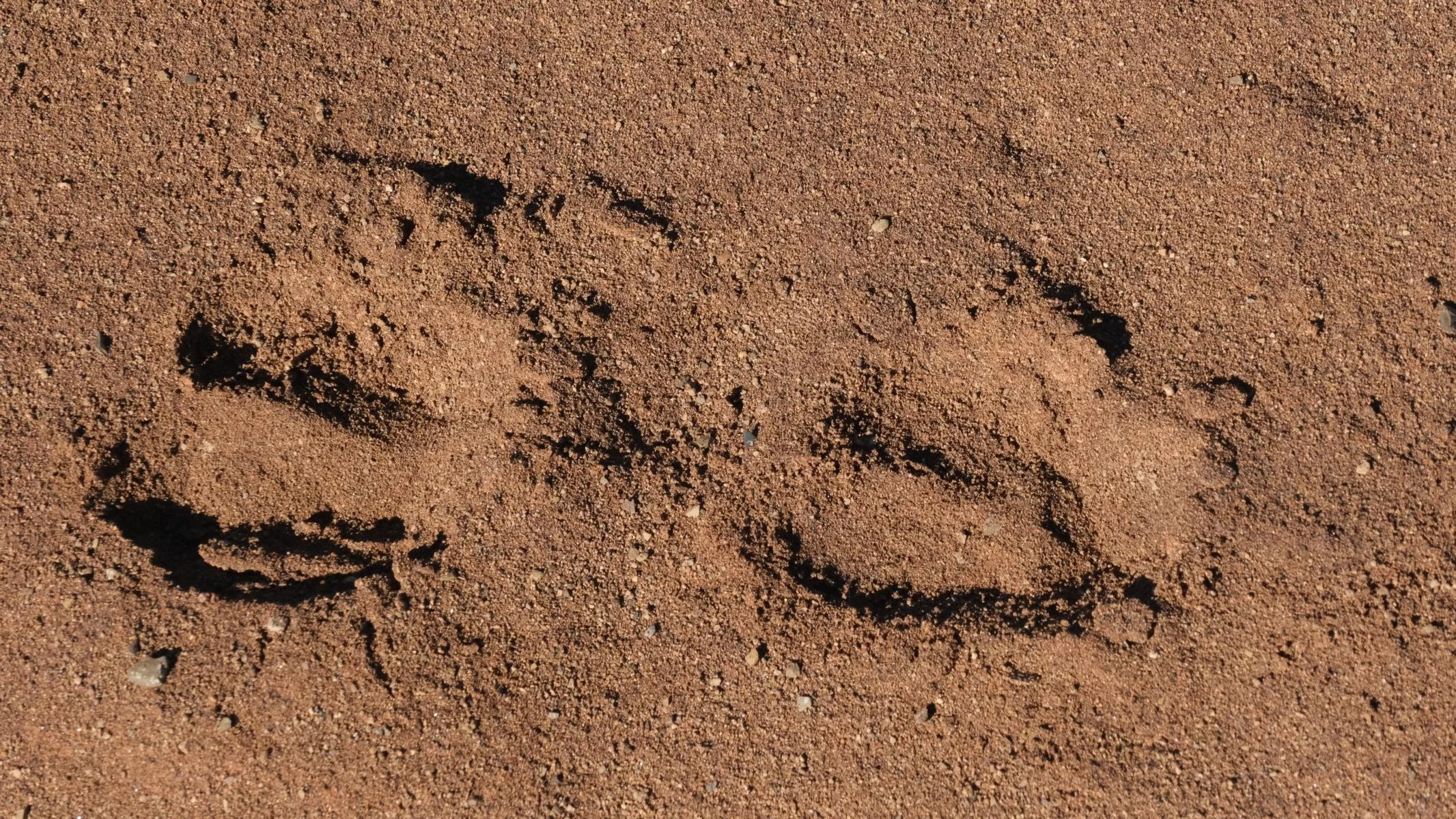 345.JPG