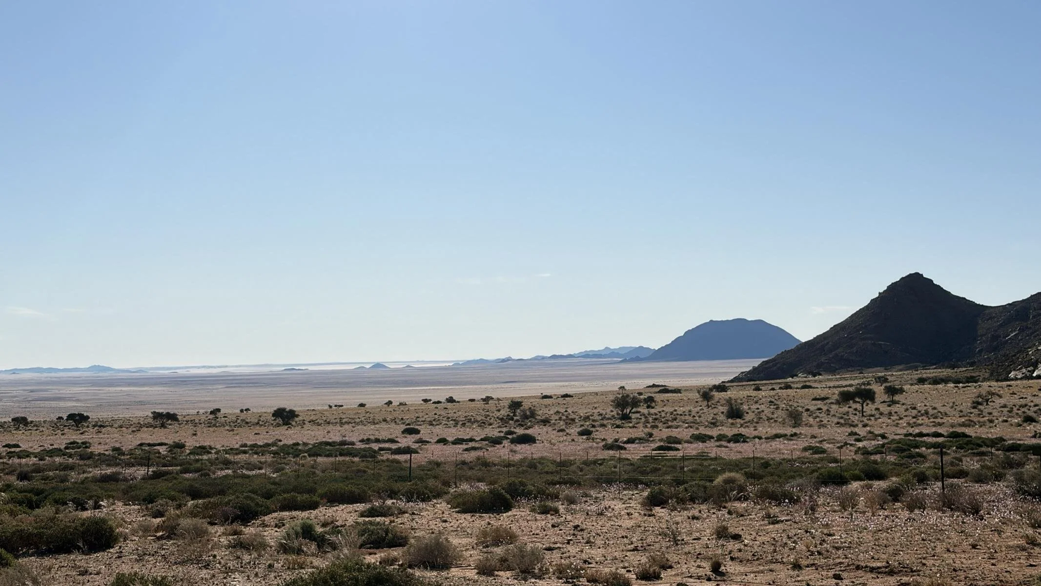 1150n.JPG