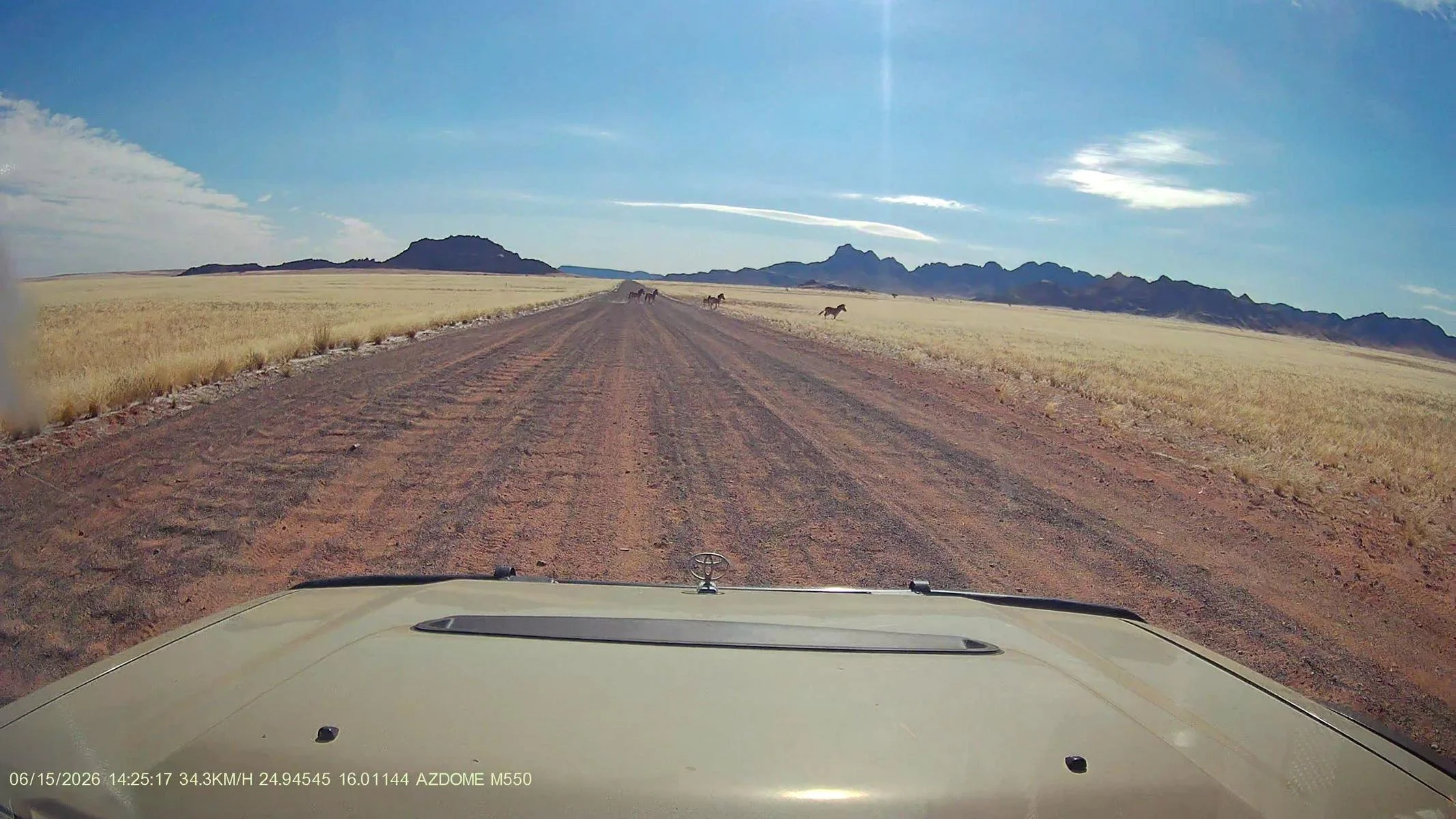 2625.JPG