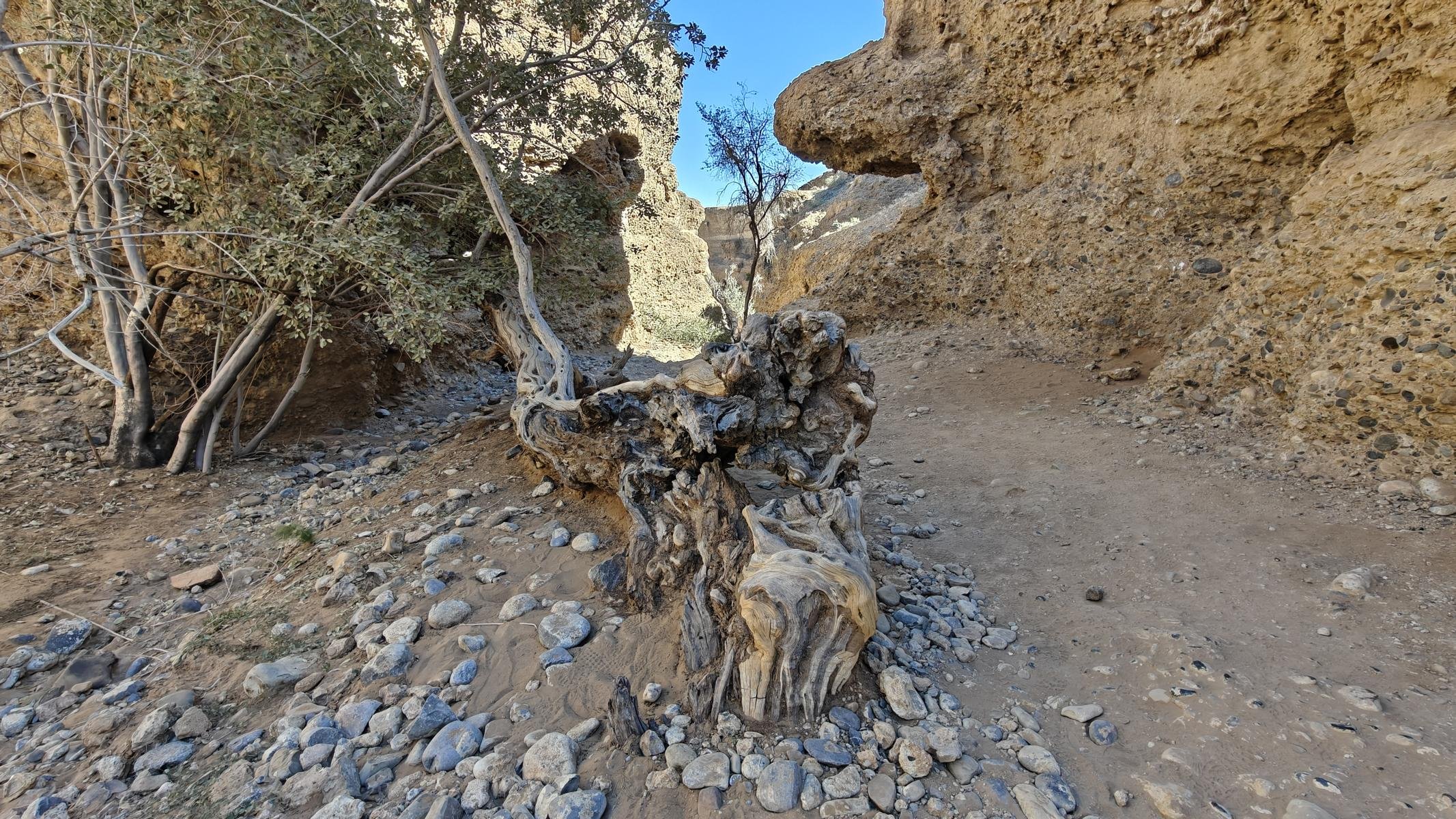 4691.JPG