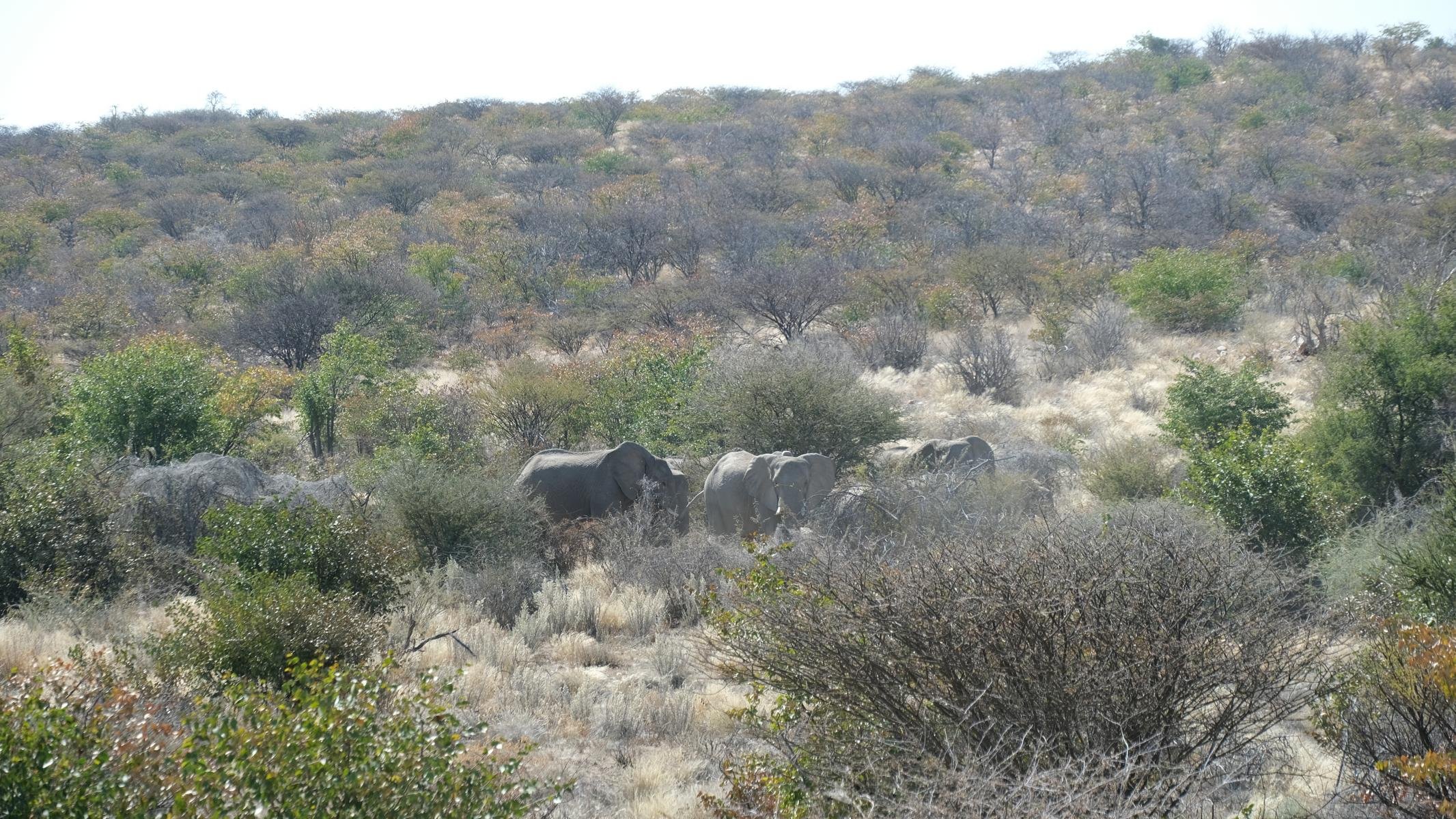135.JPG