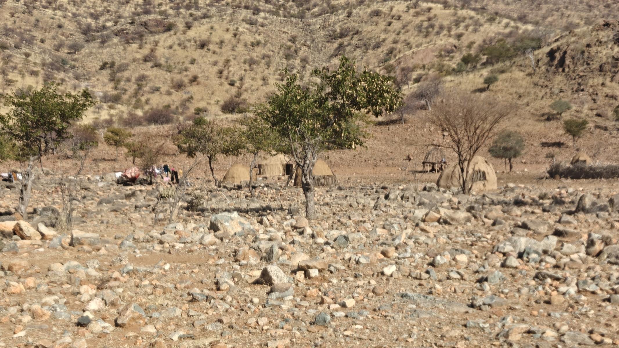 637.JPG