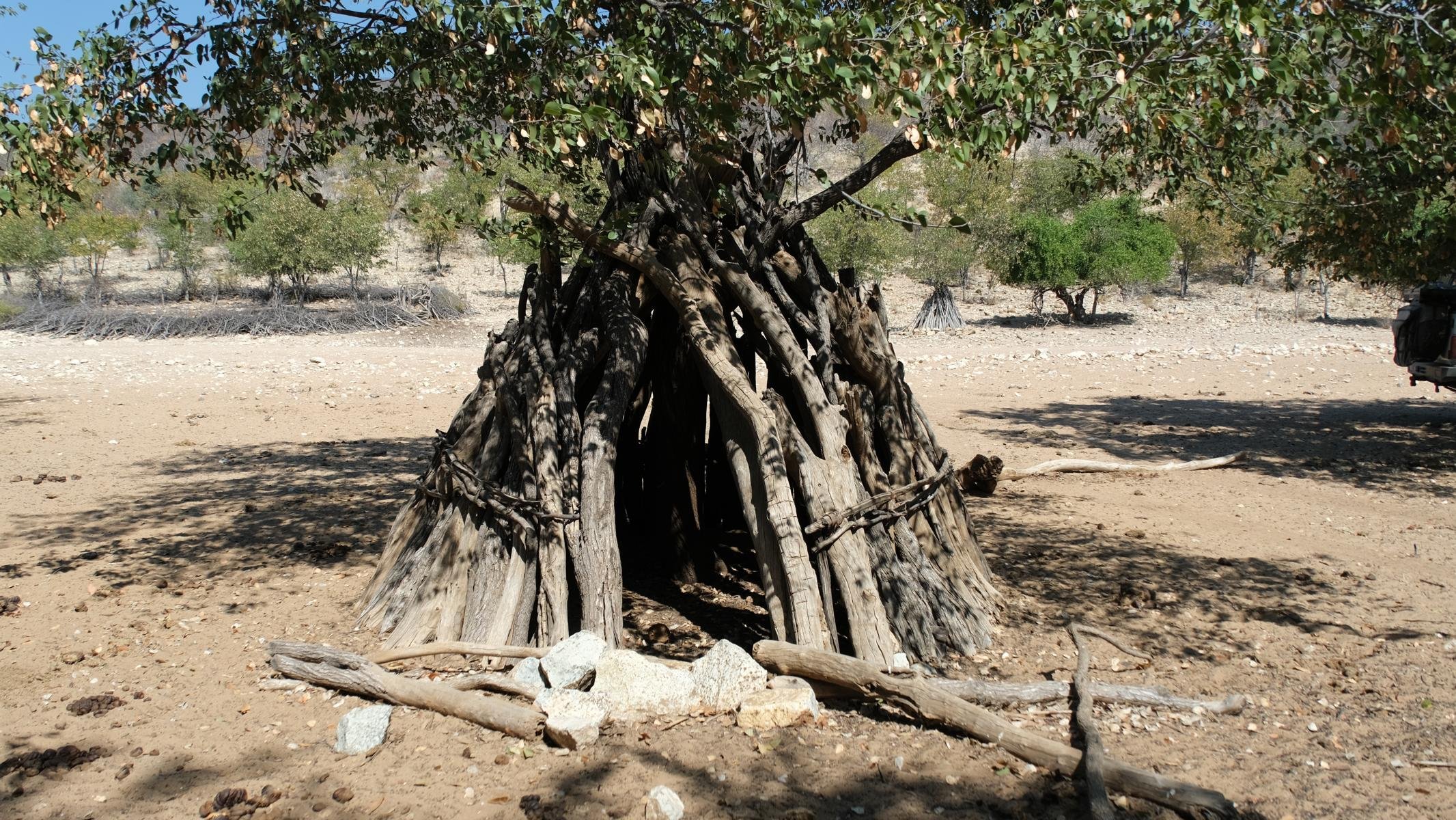 638.JPG