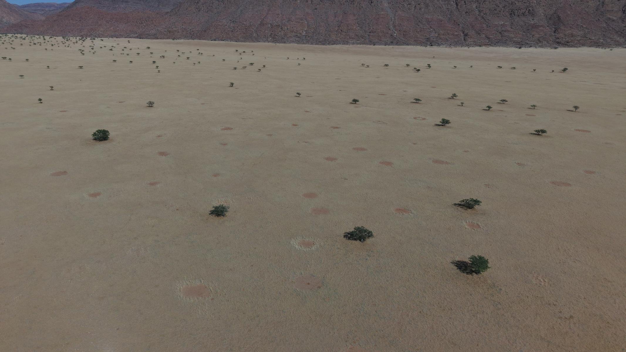 3600.JPG