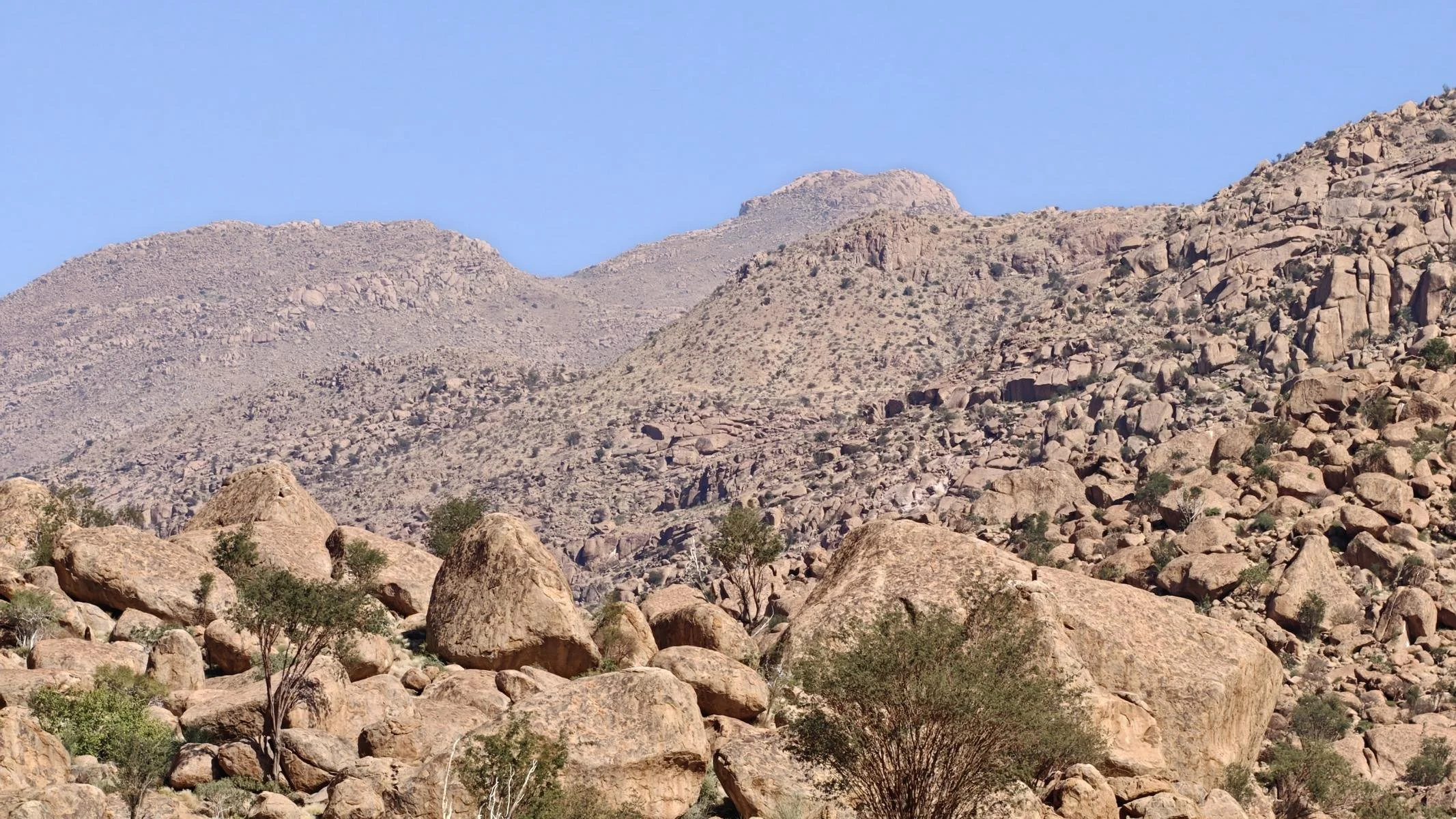 7530.JPG