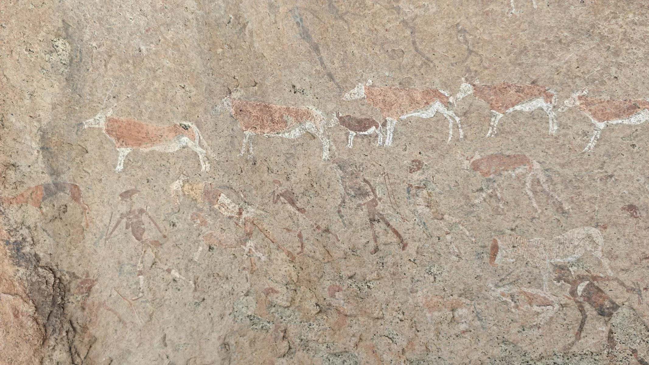 7580.JPG