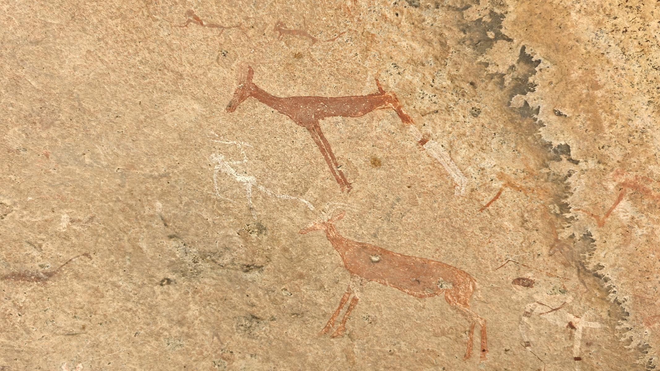 7590.JPG