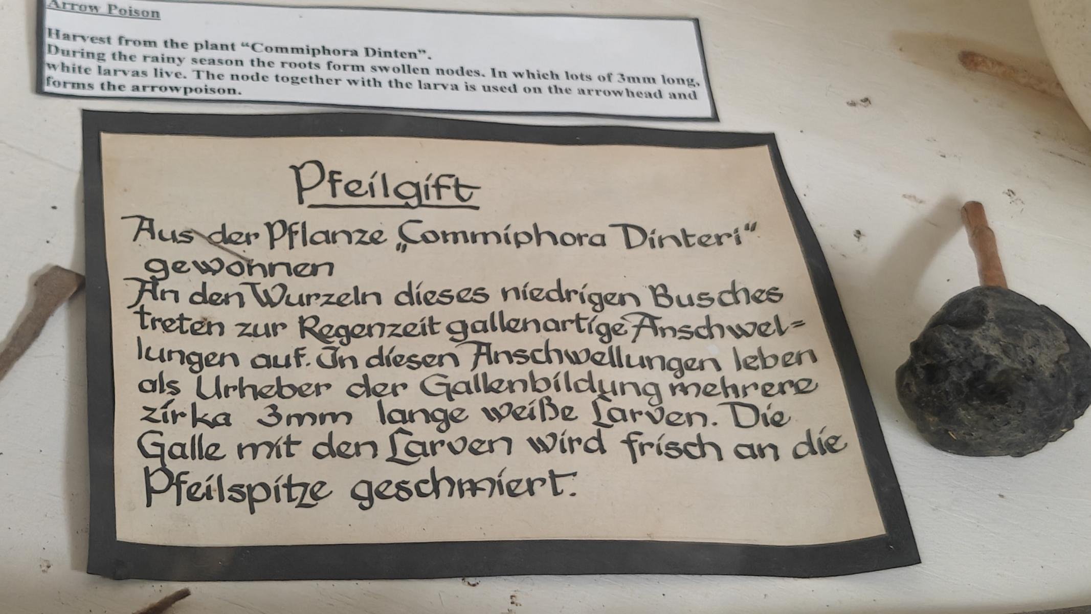 220.JPG