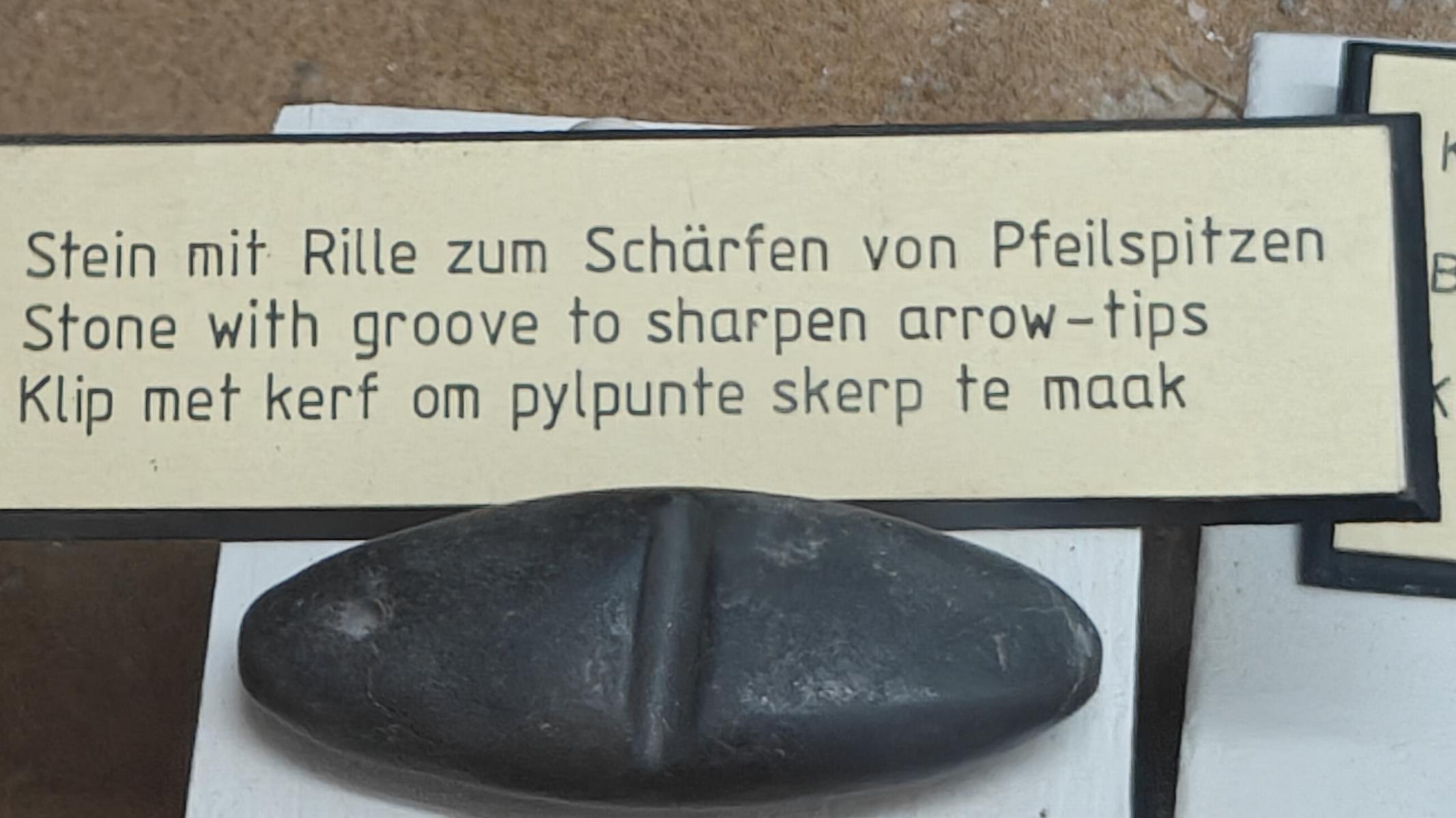 230.JPG