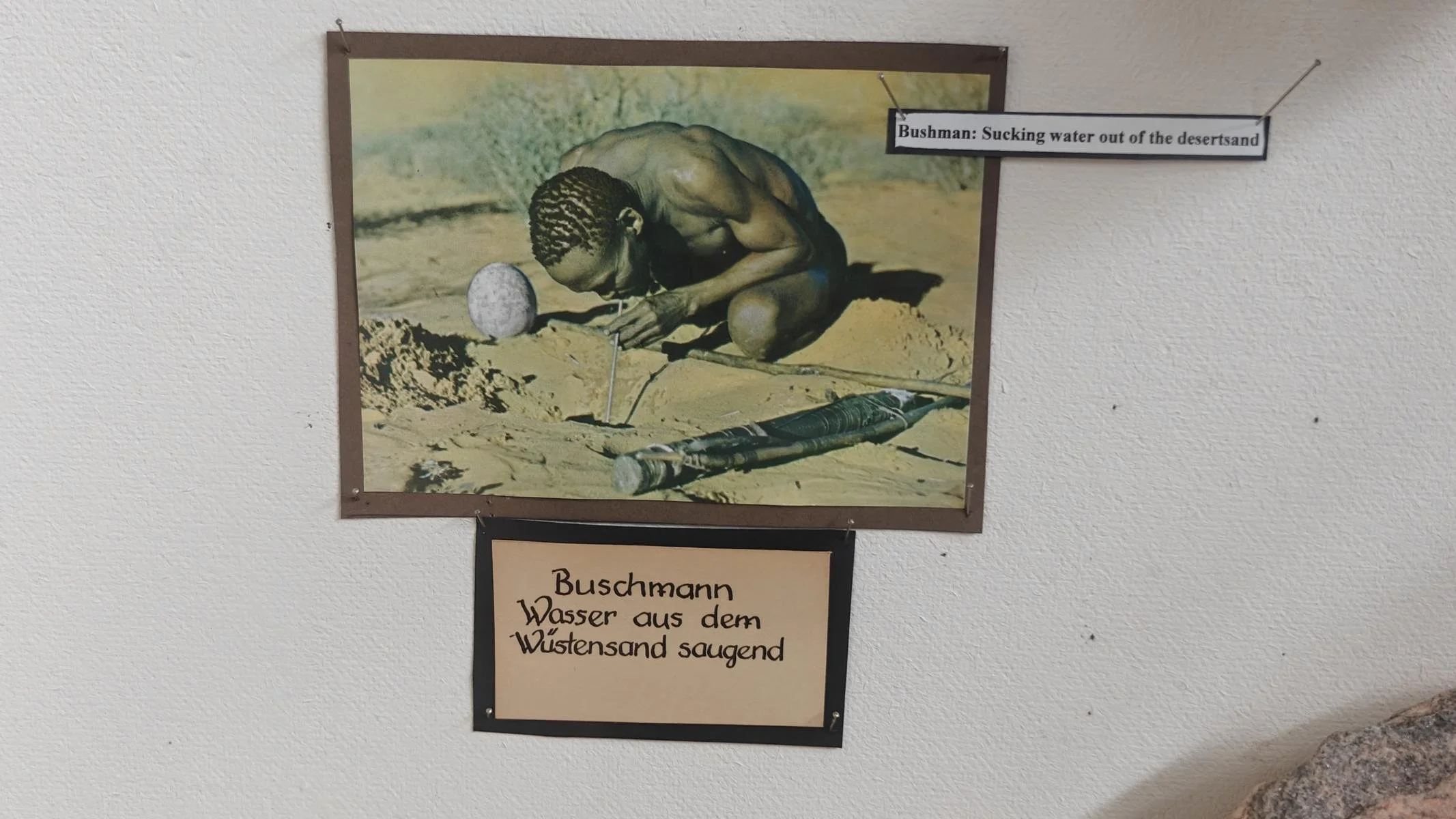 280.JPG