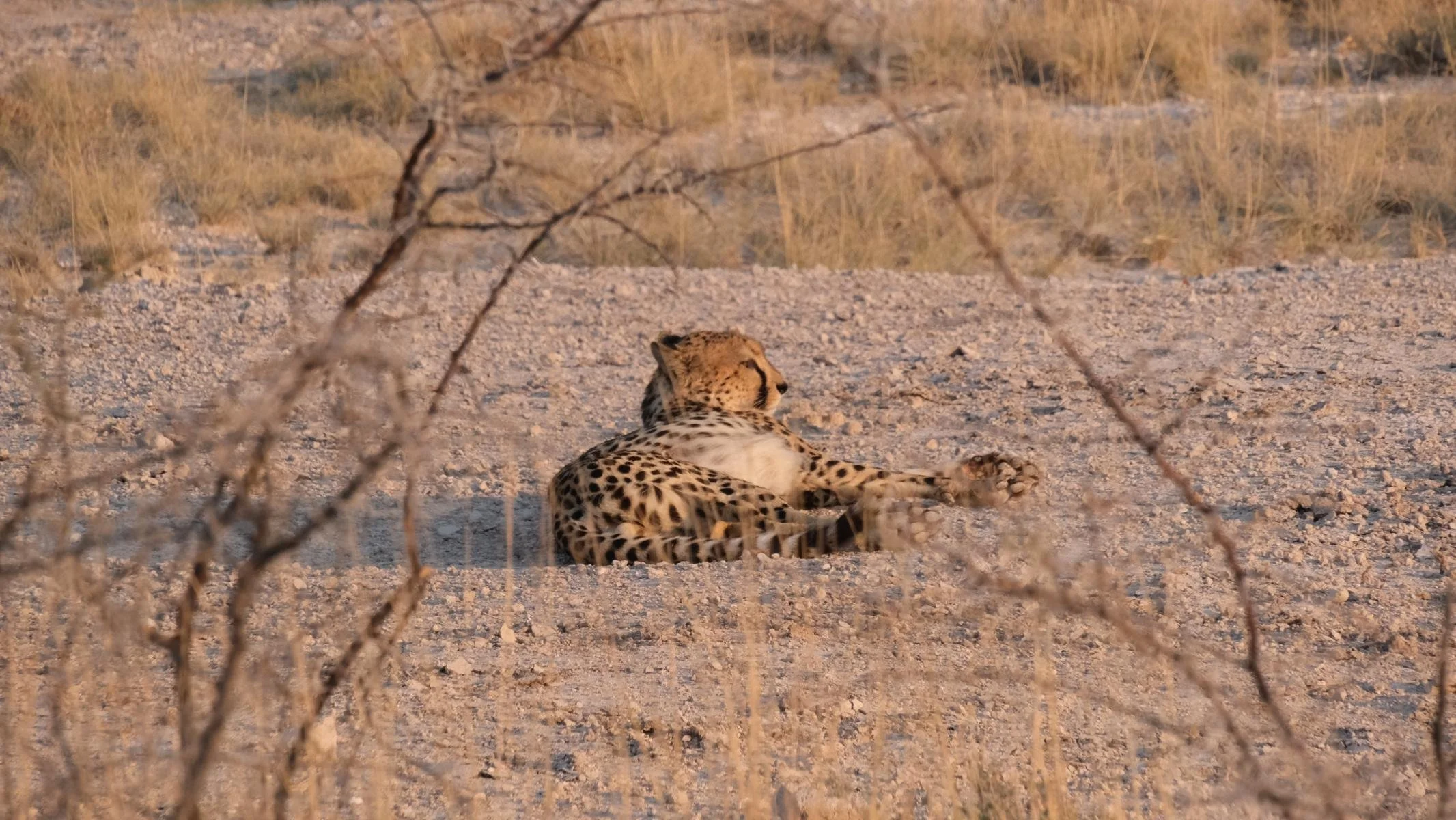2490.JPG