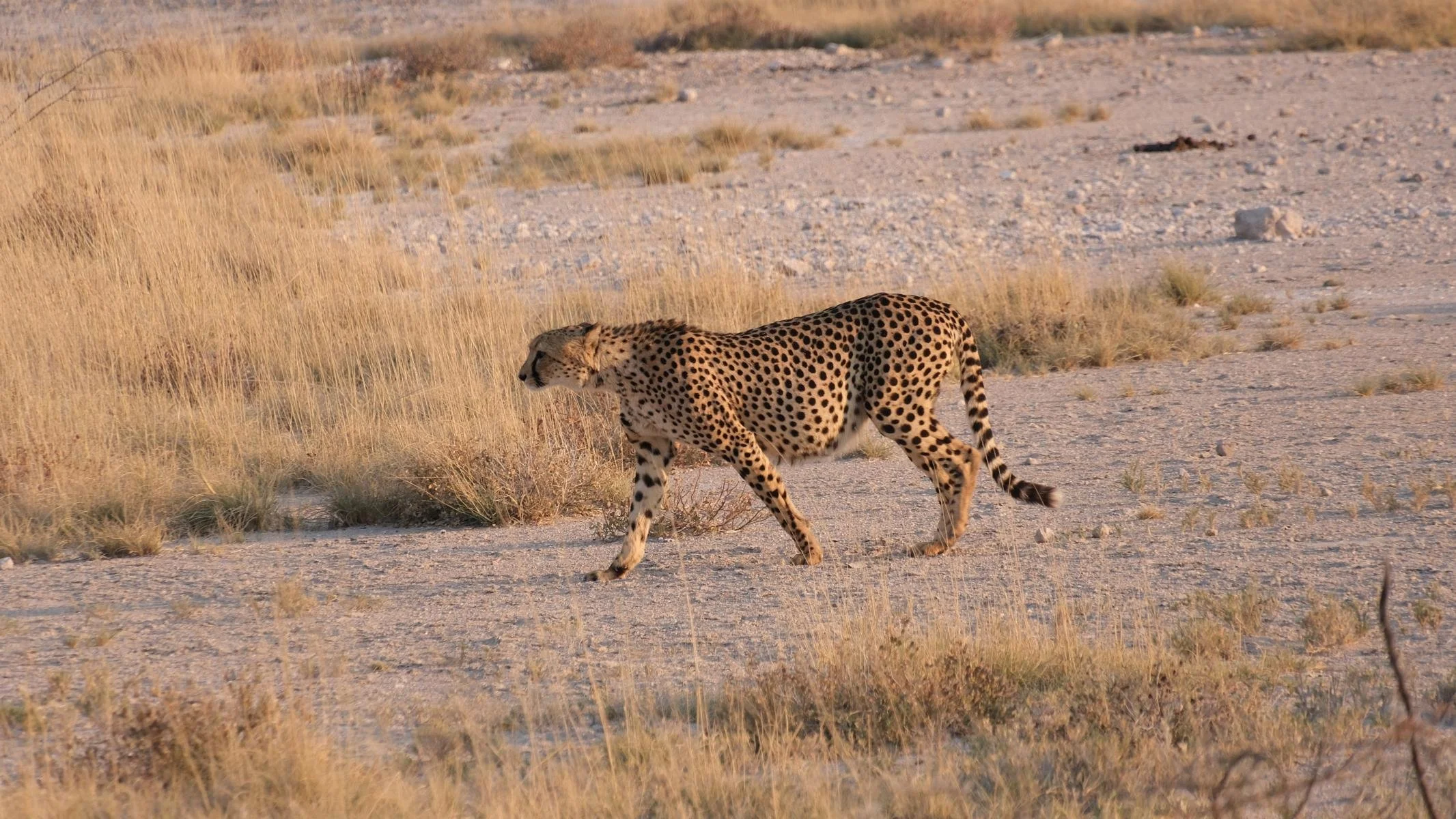2560.JPG
