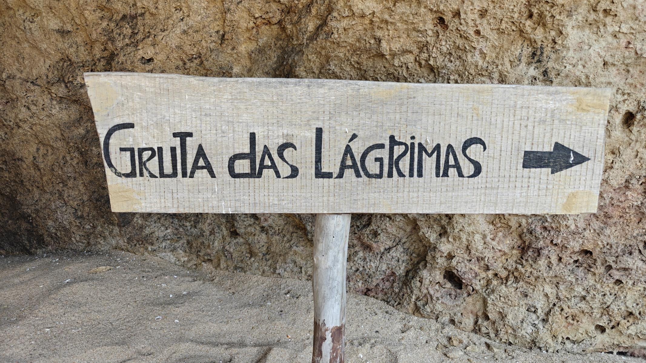 850.JPG