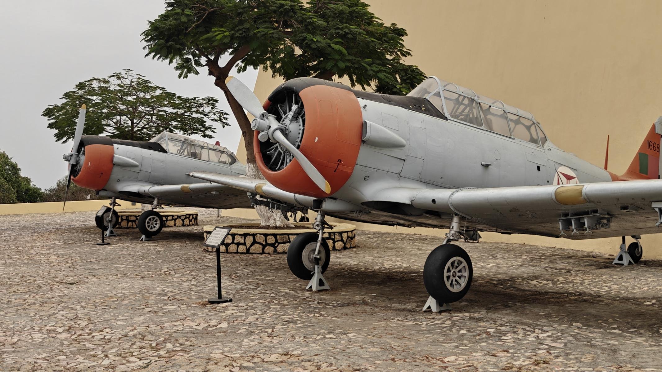 4855.JPG
