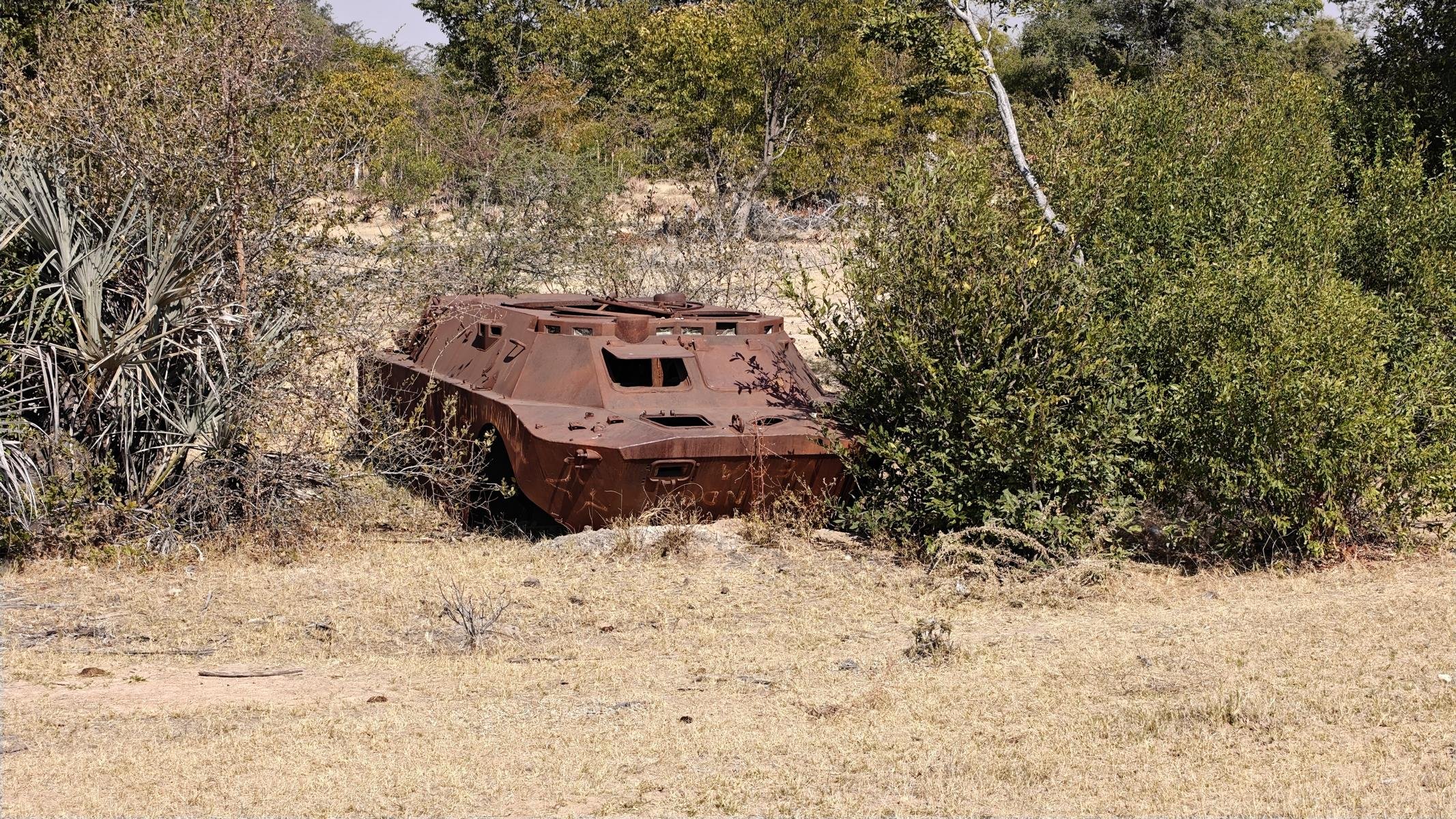 4900.JPG