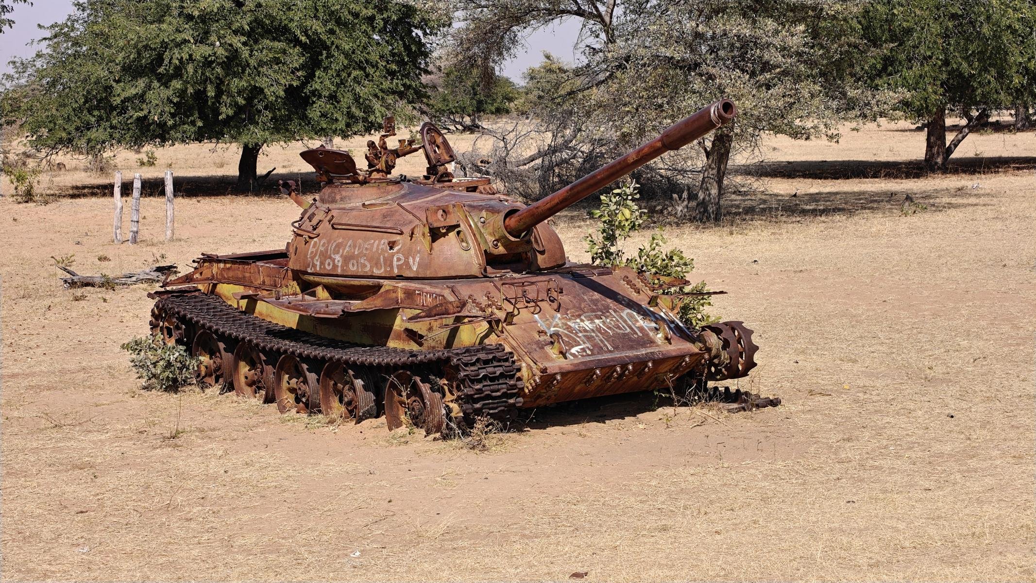 4915.JPG