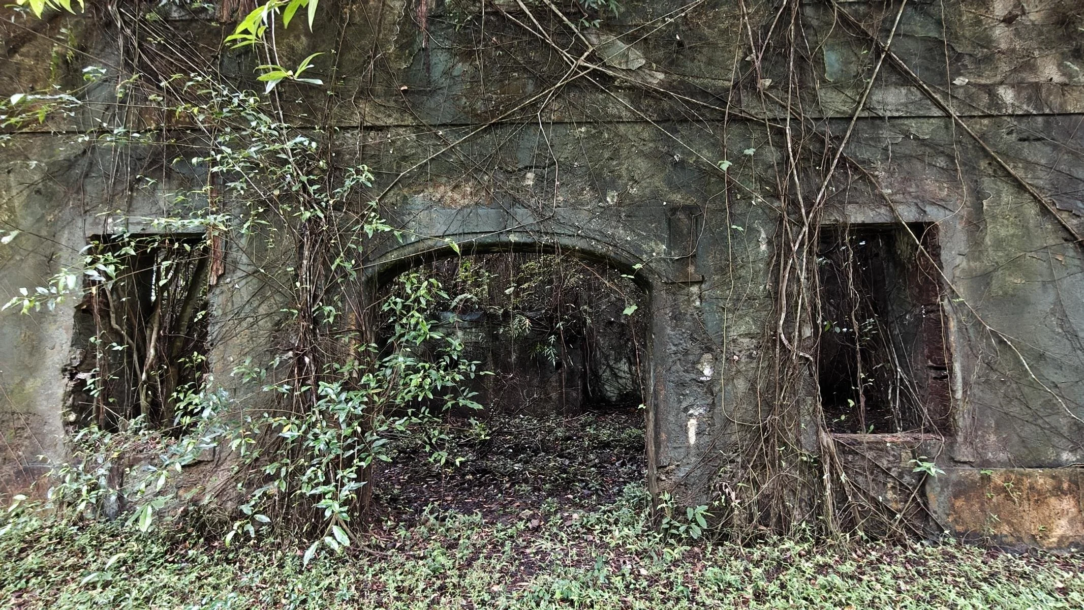 2015.JPG