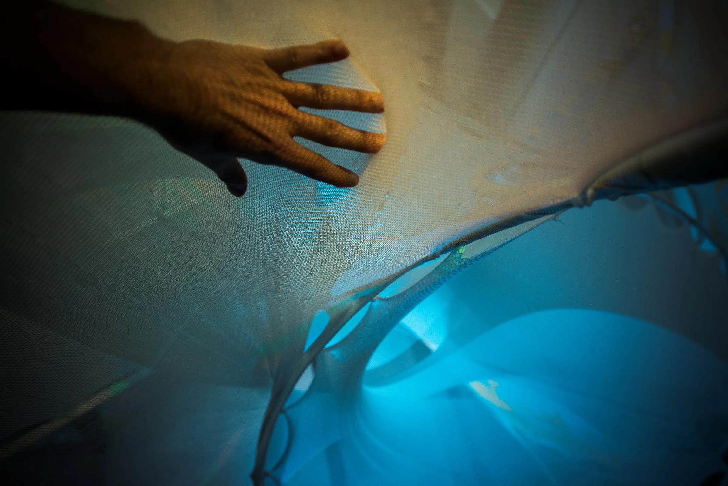 sensoryPLAYSCAPE | stretchSWARM at Detroit Design Festival