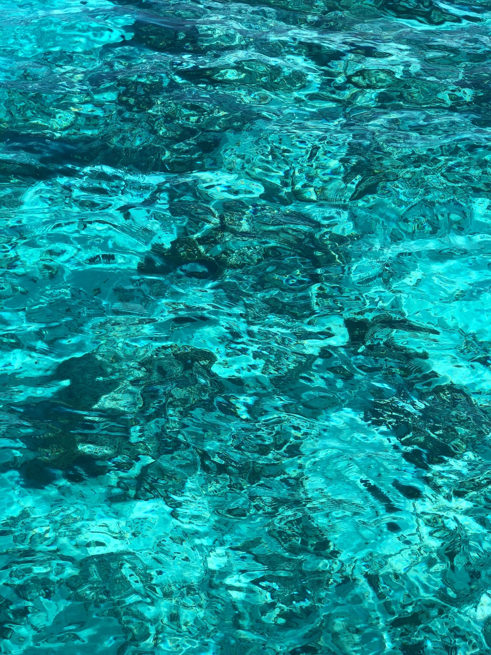 Sea of love 8.jpg