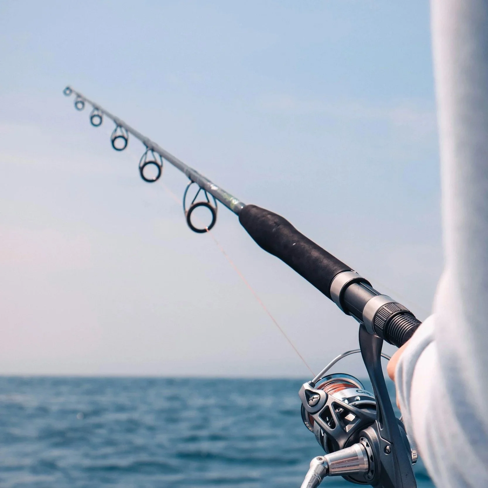 The Future of Fishing: How Consumers Are Redefining Seafood