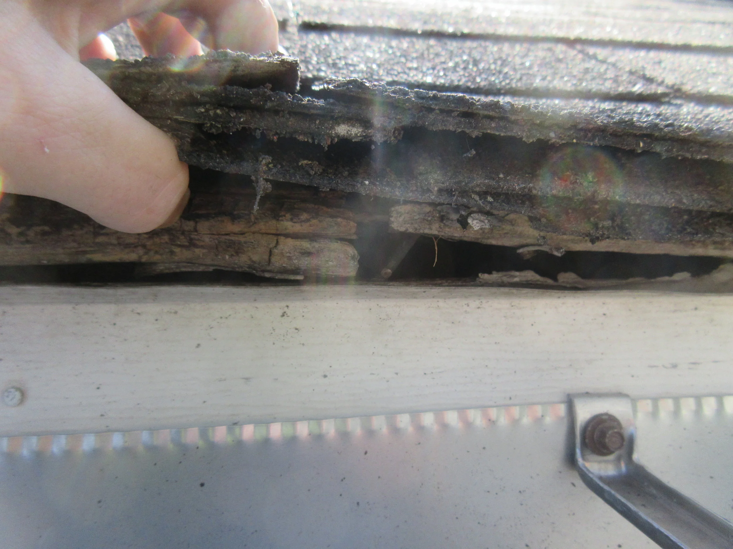 Roof covering did not extend enough past roof line allowing water to wick into roof decking. Because of this, there is moisture damage ( wood rot ) at roof decking. See interior picture for extent and severity.