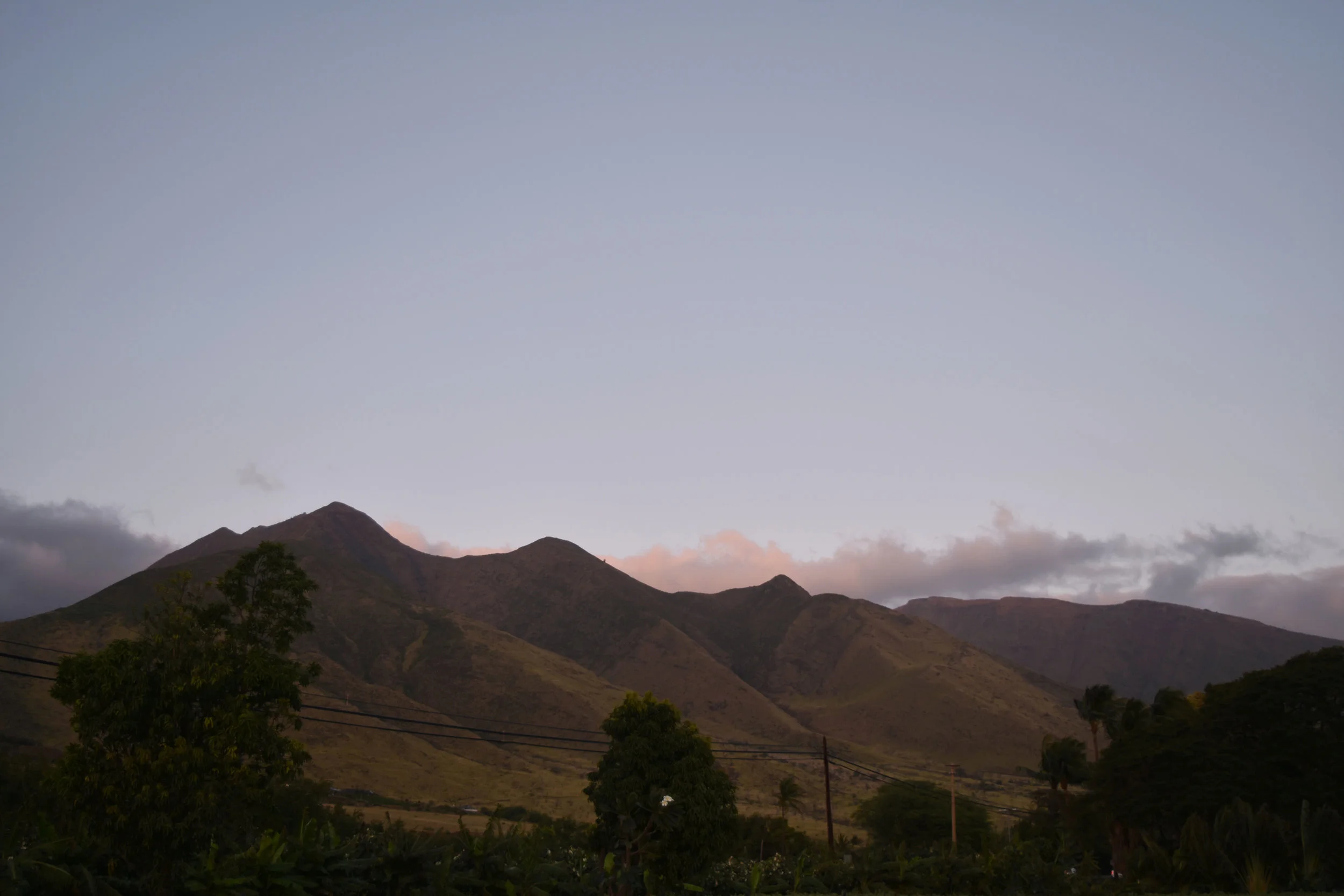 DSC_0192.jpg