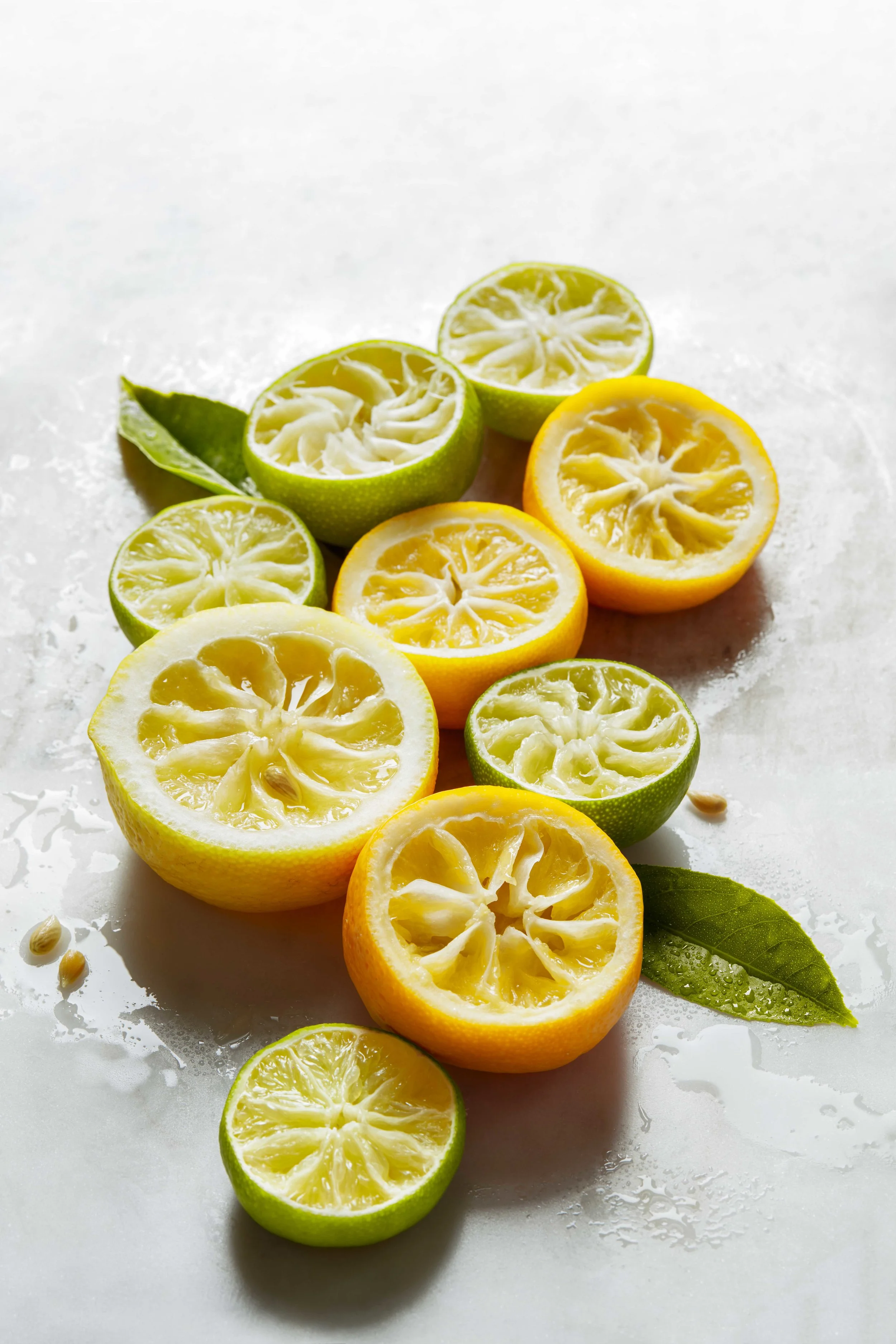 Lemon Still Life: Food Stylist Assistant