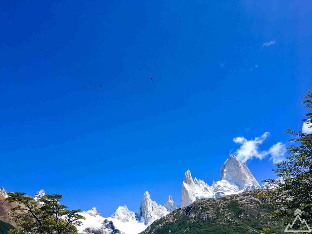 Fitz Roy and condors