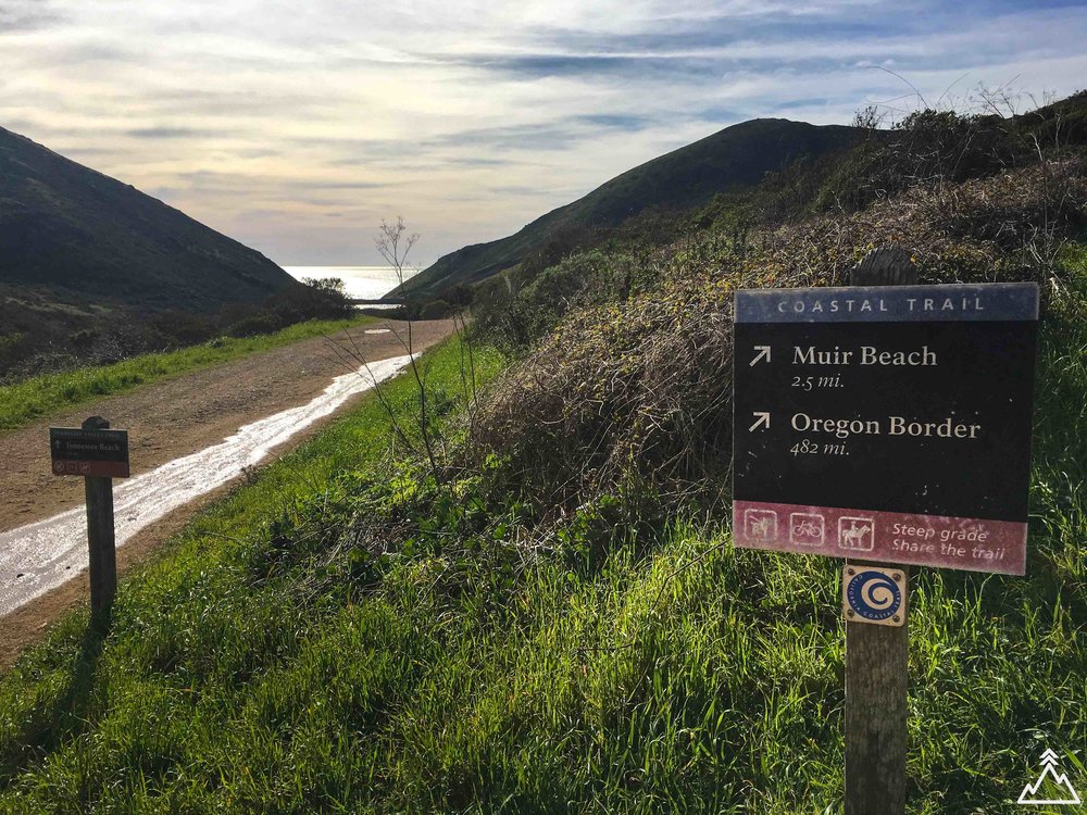 Coast Trail to Muir Beach