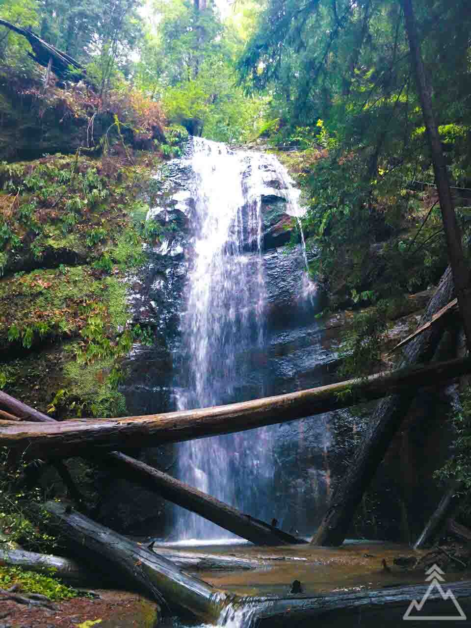 Berry Creek Falls