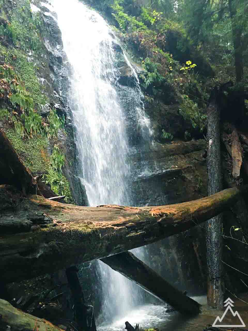 Berry Creek Falls