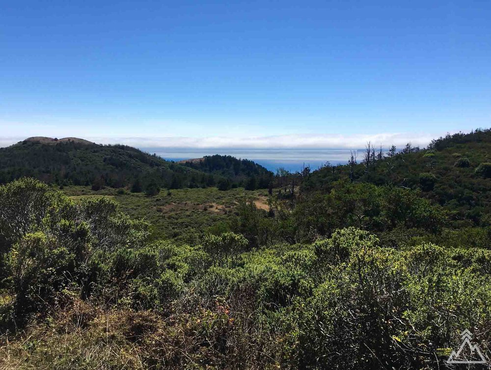 Sky Trail, Point Reyes