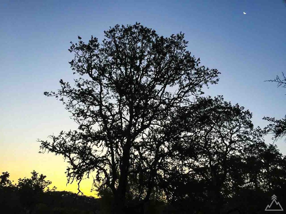 Henry W. Coe State Park