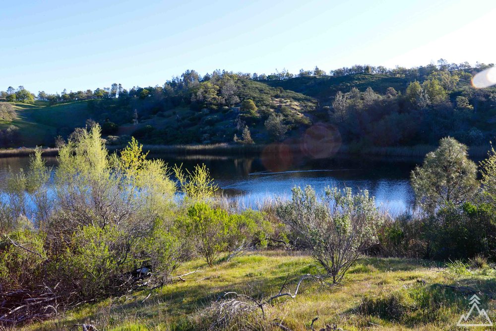 Coit Lake, Henry W. Coe