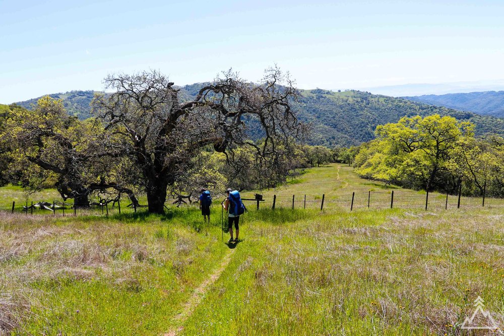 Henry W. Coe State Park