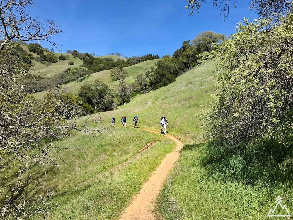 Grizzly Gulch Trail