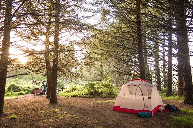 Campsite mornings - &quot;Nature does not hurry, yet everything is accomplished&quot; Photocredit: @laurendevonart 🏕🌲☀️ @bigagnes_ .
.
#firtop #firtophikes #happyhiking #makeittothetop #backpacking #hiking #pointreyes #pointreyesnationalseashore #s