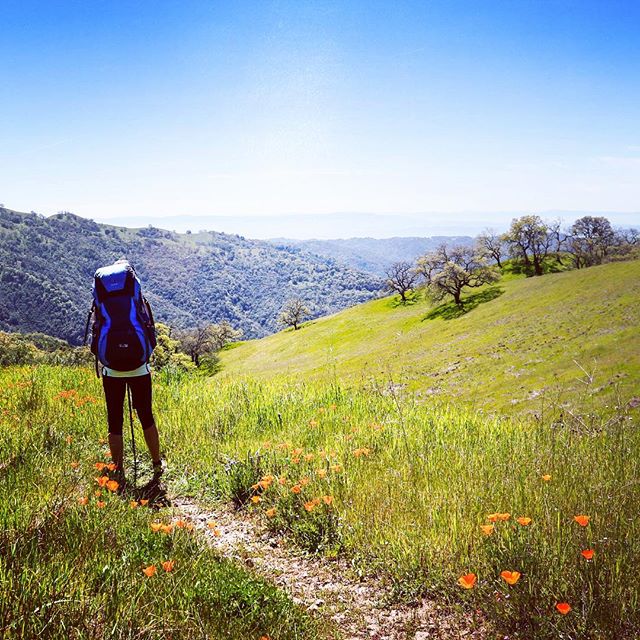 Spring and all the rain we've had in CA means the hills are covered in lush green grass and wildflowers. Time to get outside and check out the super bloom! We explored Henry Coe State Park last weekend with a night at Coit Lake. Blog post is coming; 