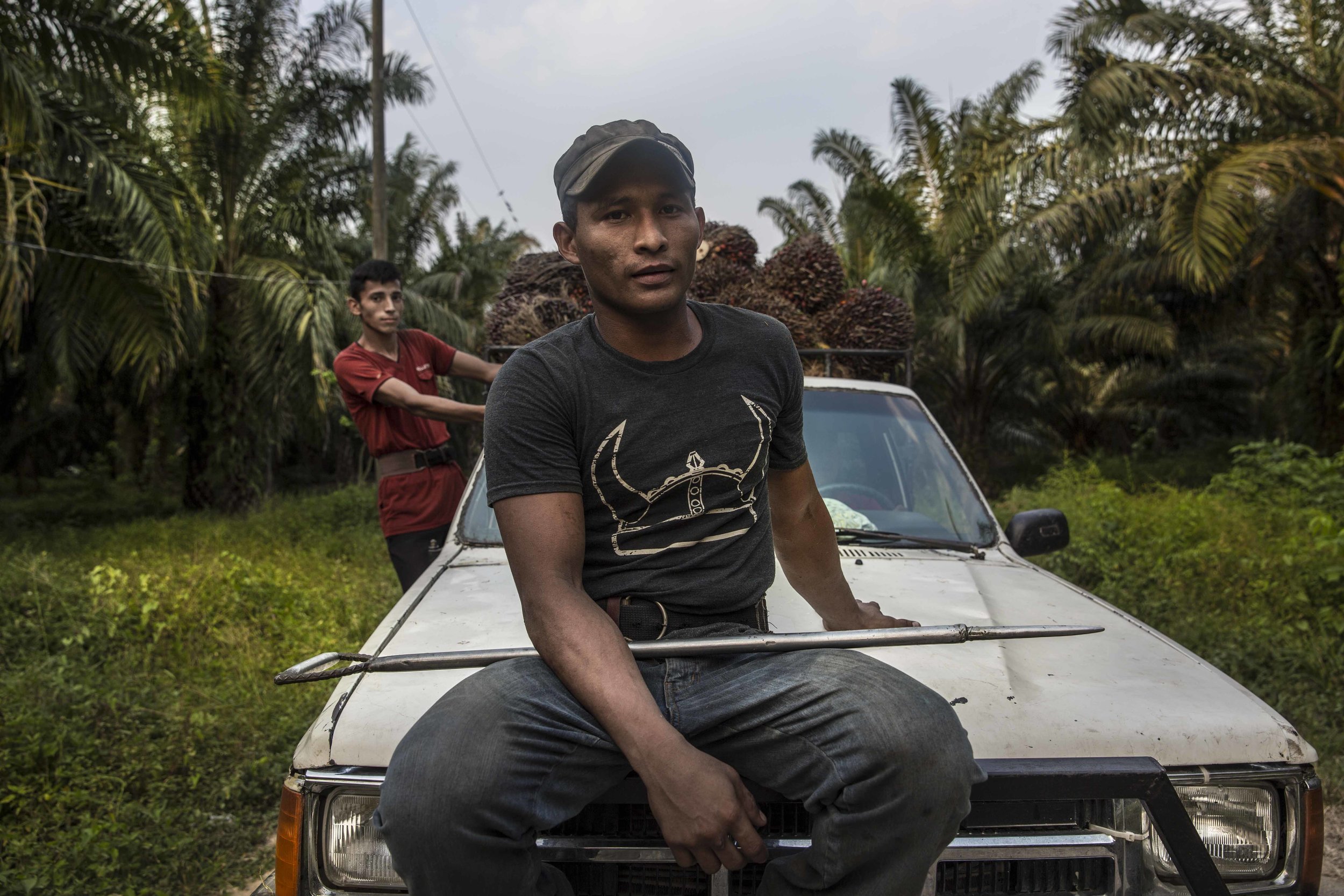 Peasants in the palm oil fields, outside the city of Tocoa in the department of Colon, on the Atlantic coast of Honduras. Around 3,000 peasants farmers in Honduras face criminal charges linked to land struggles. 