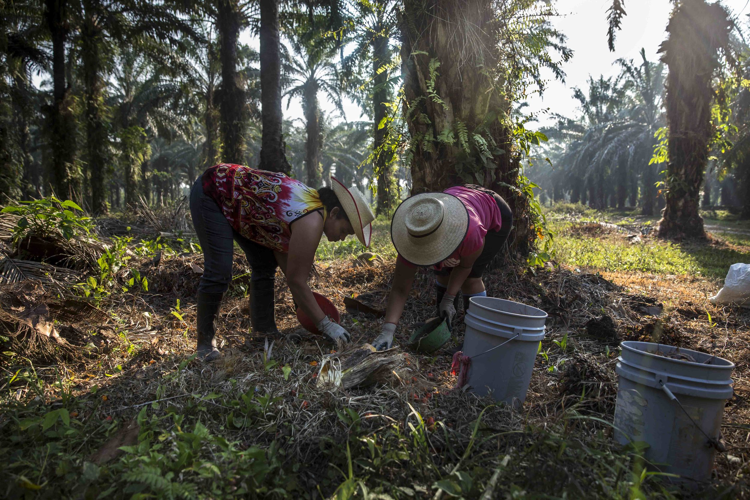 francescavolpi_honduras44.jpg