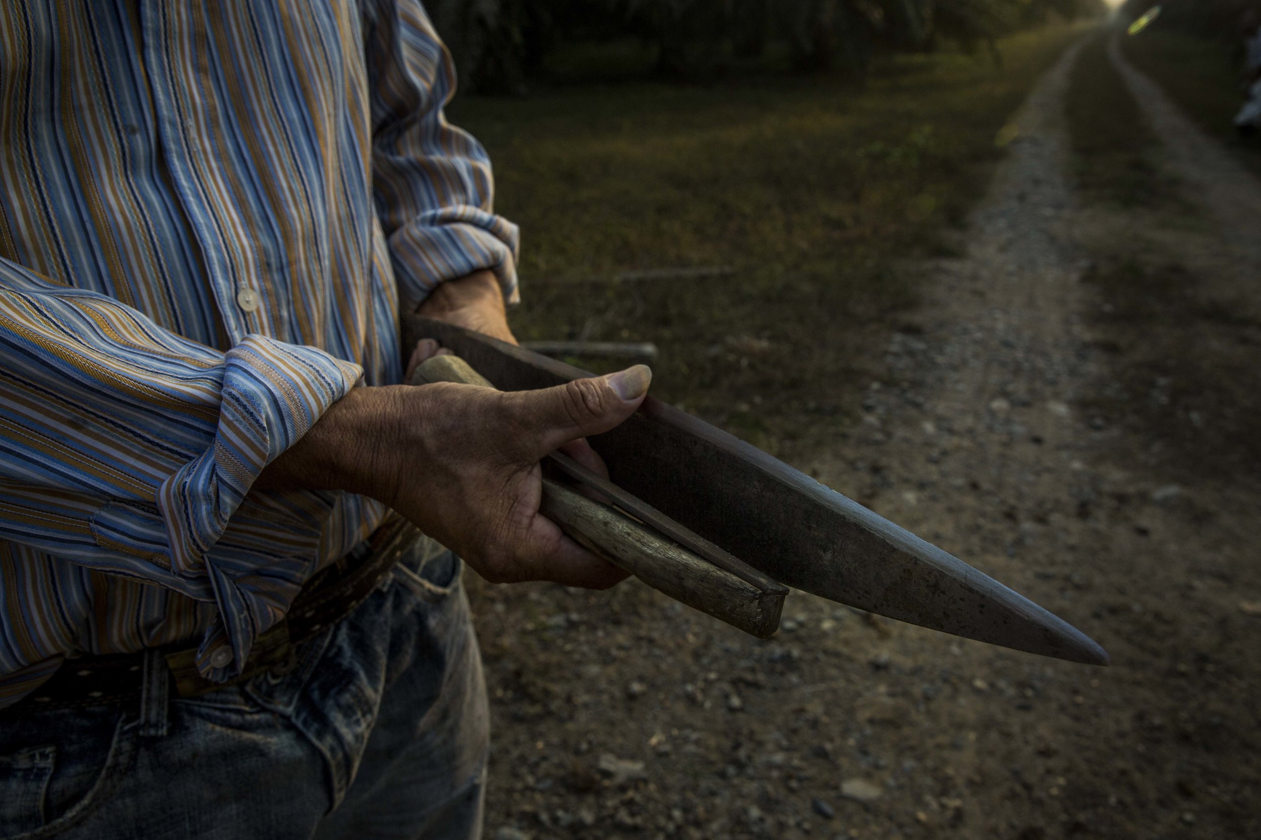 The pressure that violence in the countrysides puts on the locals is intense and many have to flee, either abroad or to the major cities, Tegucigalpa and San Pedro Sula. 