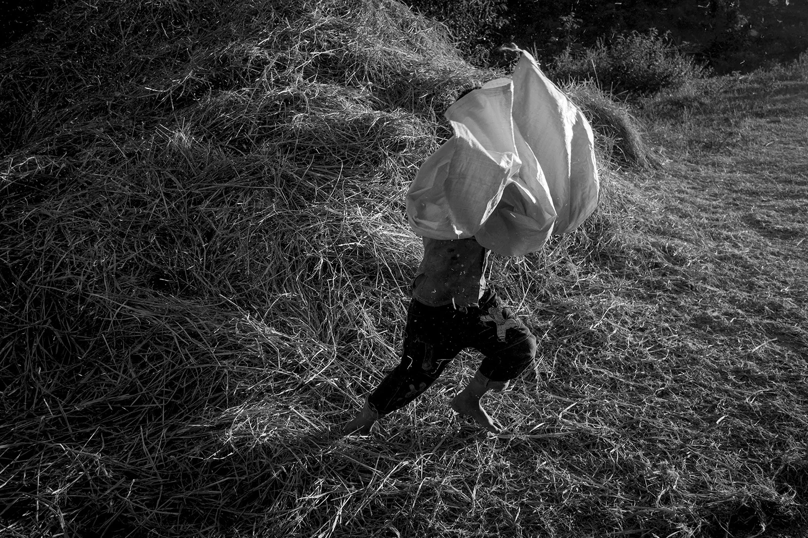 Francesca Volpi - Documentary Photographer 