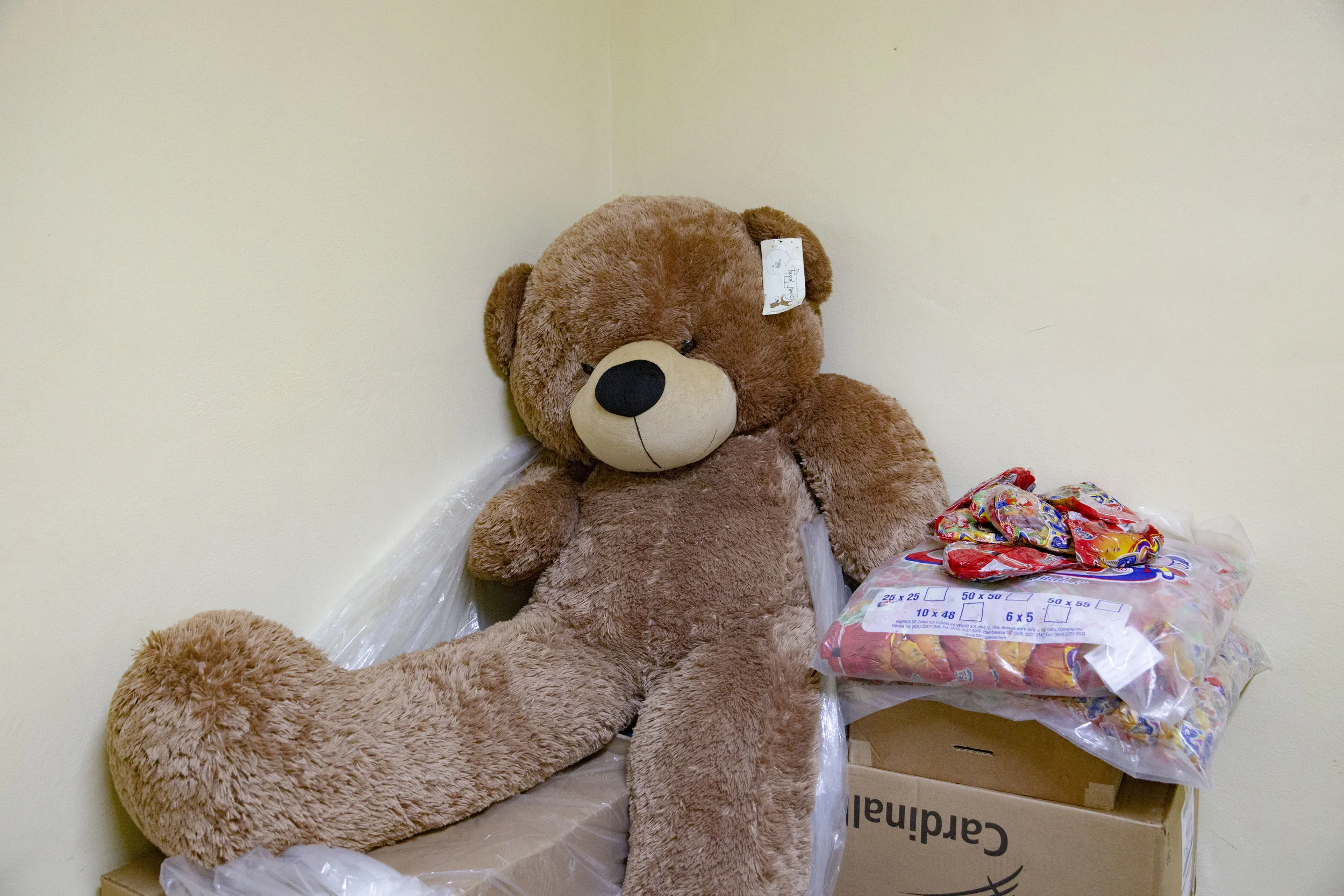 A stuffed animal bear in once of the administration offices at the Ruth Paz hospital in San Pedro Sula. It was donated to the foundatiion and they inted to use it to organize a lottery in the hospital to raise a little bit or money.
