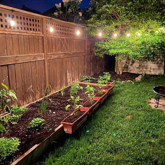 Petit jardin la nuit 📸 @r.stankowski