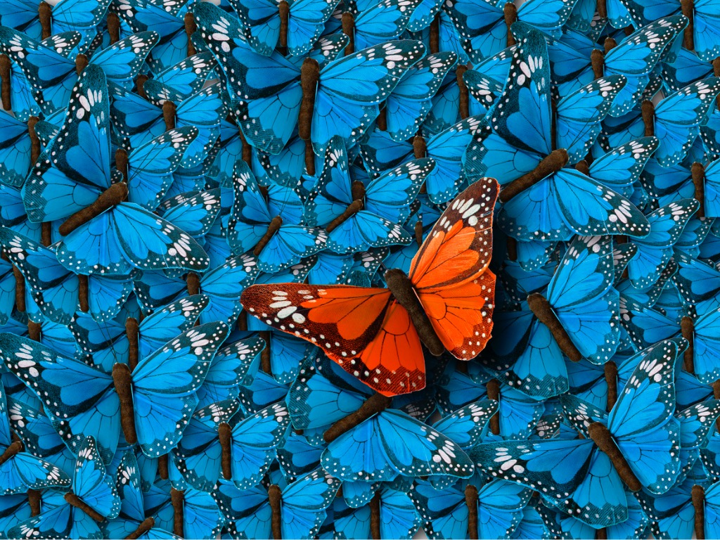 background-of-buterflies-picture-id804655092.jpg