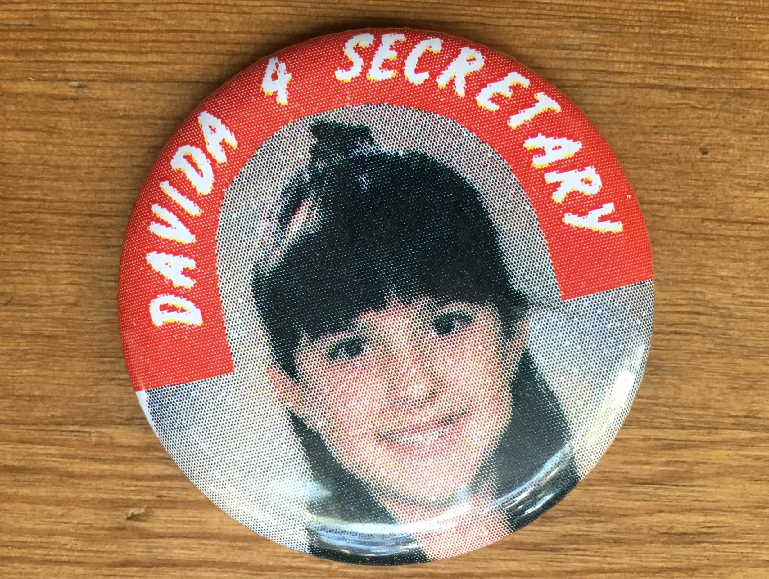 Davida4Secretary.jpg