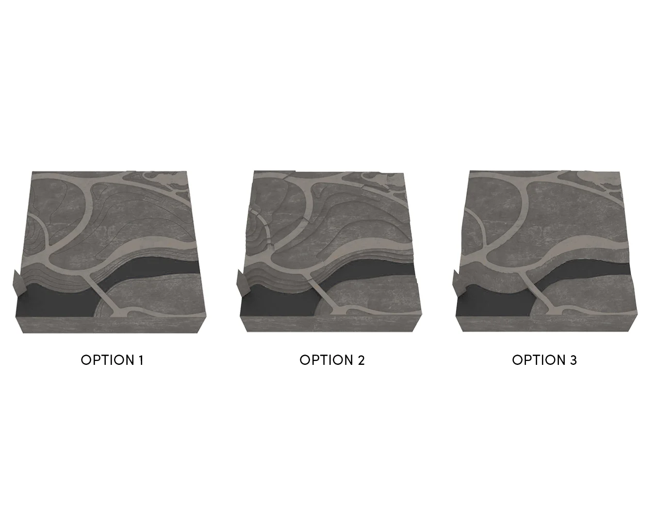 Topo Options.jpg