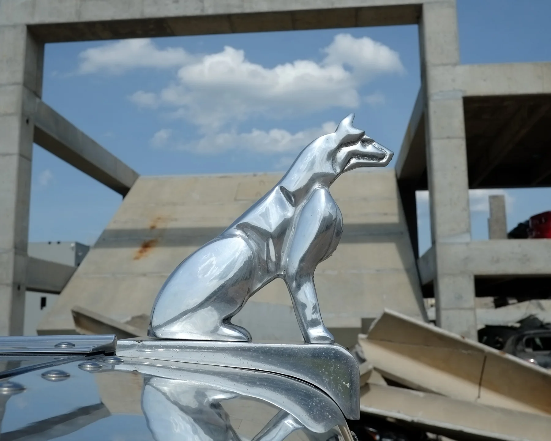 Husky 06.jpg