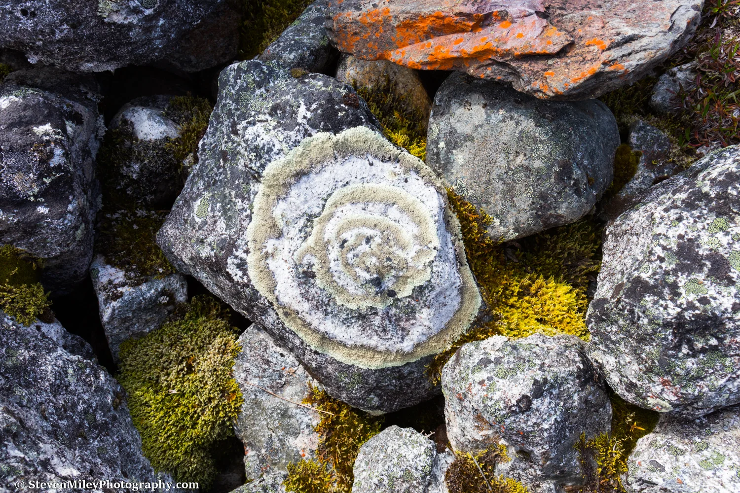 Hiking among the rocks and boulders on the moraine of Peters Glacier. 