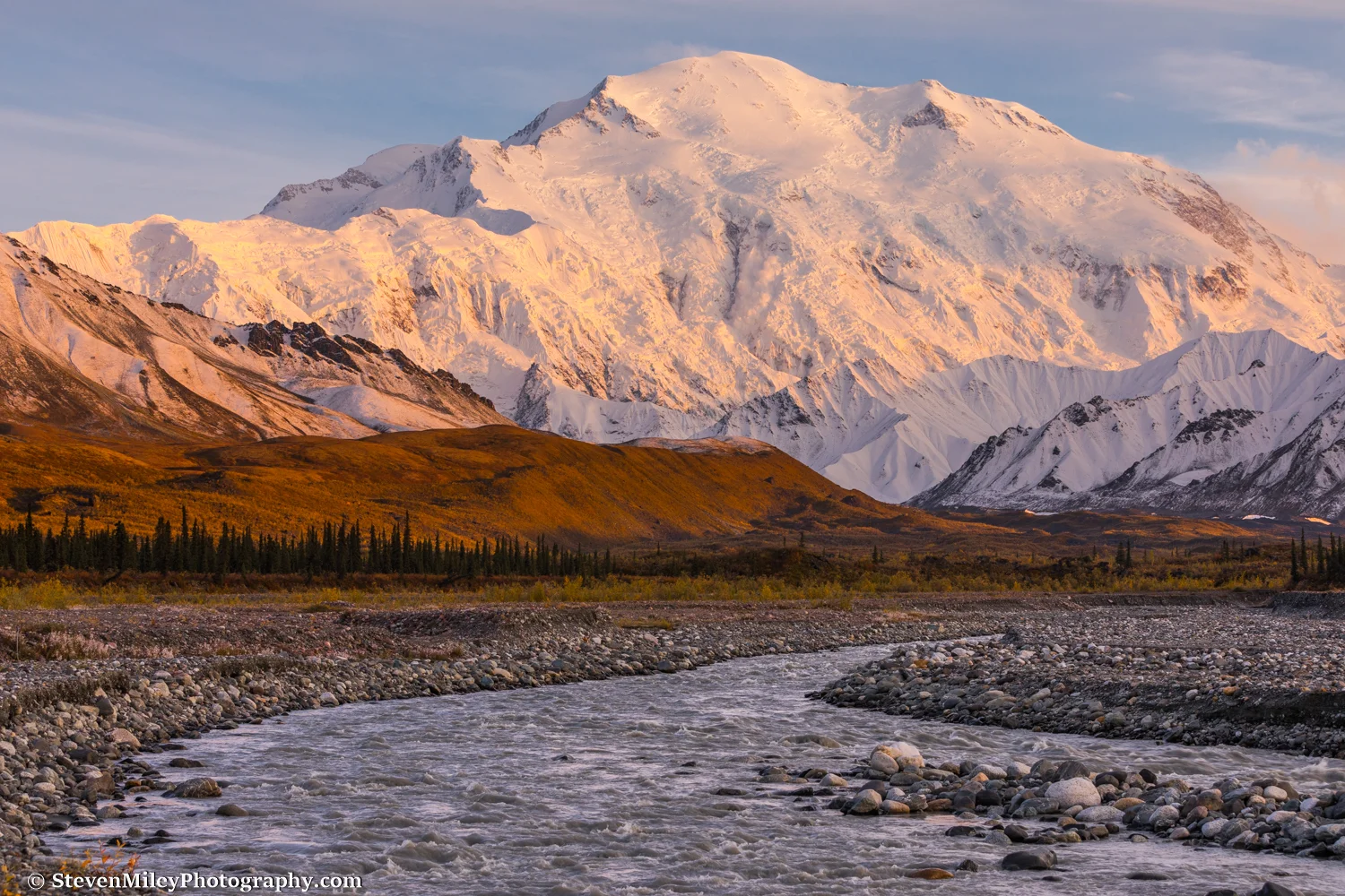 Denali looms over Peters Glacier (coming out of the valley at right) and the Muddy River. An avalanche is visible near the center of Denali's Wickersham Wall.